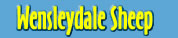 Wensleydale Sheep & Fiber