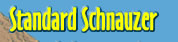 Standard Schnauzer Information