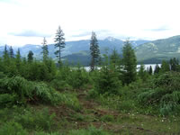 Montana Property