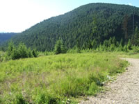 Montana