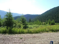 Montana