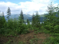 Montana