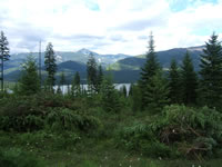 Montana