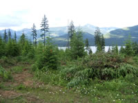 Montana